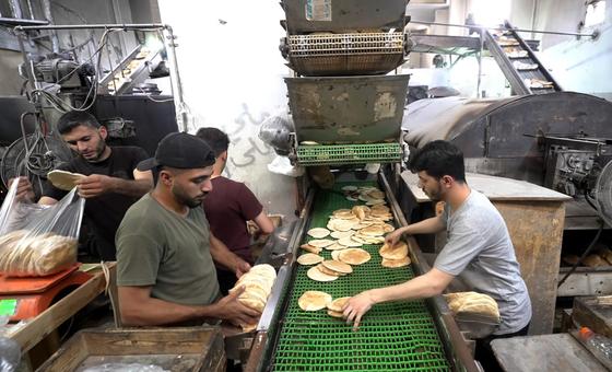 عمال يقومون بتعبئة الخبز الطازج في أكياس لتوزيعه في مخبز البنا في دير البلح، غزة.